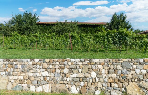 Do You Need a Retaining Wall? Key Signs and Situations